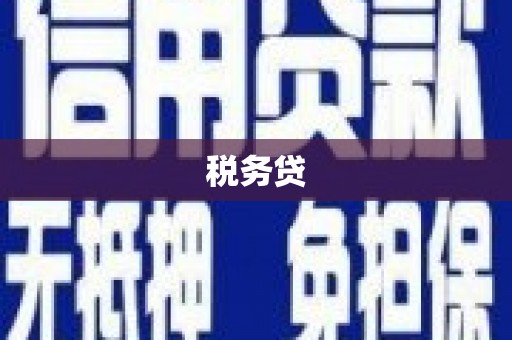 任丘税务贷