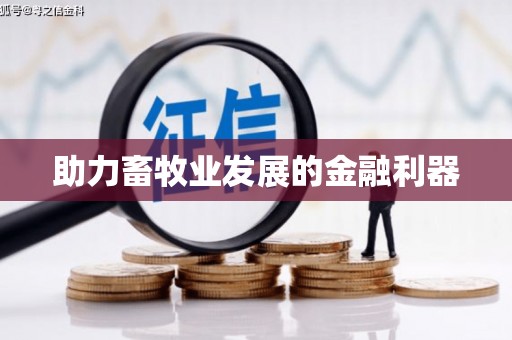 任丘助力畜牧业发展的金融利器