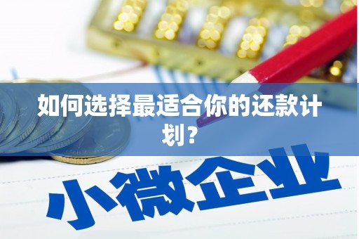 任丘如何选择最适合你的还款计划？