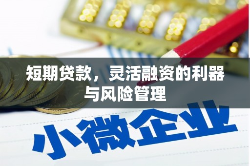 任丘短期贷款，灵活融资的利器与风险管理