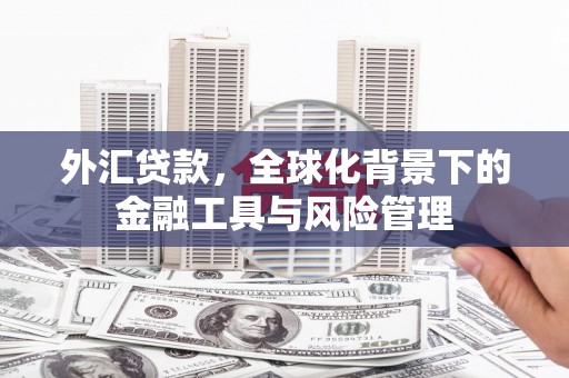 任丘外汇贷款，全球化背景下的金融工具与风险管理
