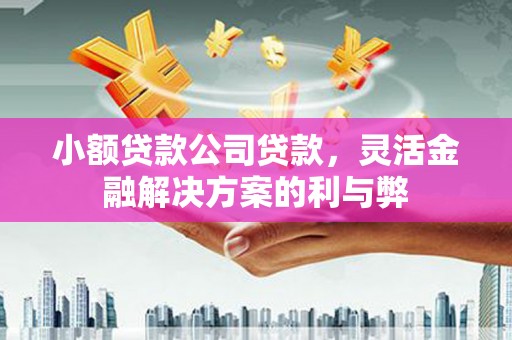 任丘小额贷款公司贷款，灵活金融解决方案的利与弊