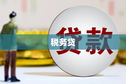 任丘税务贷
